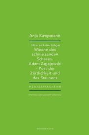 Cover von Die schmutzige Wäsche des schmelzenden Schnees
