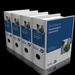 Cover von Praxishandbuch Arbeitsrecht