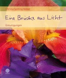 Cover von Eine Brücke aus Licht