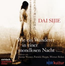 Cover von Wie ein Wanderer in einer mondlosen Nacht