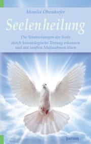 Cover von Seelenheilung