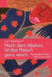 Cover von Nach dem Absturz ist das Fleisch ganz weich. Frauengeschichten, unter uns erzählt.