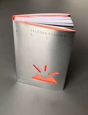 Cover von Valeska Peschke
