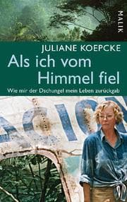 Cover von Als ich vom Himmel fiel