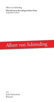 Cover von Dein Ich ein in die Luft geworfener Stein