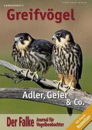 Cover von Greifvögel