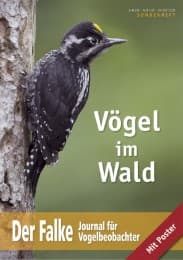 Cover von Vögel im Wald