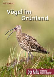 Cover von Vögel im Grünland