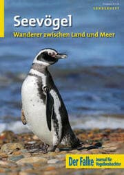 Cover von Seevögel