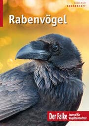 Cover von Rabenvögel