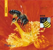 Cover von Das kreative Sachbuch 'Biene'