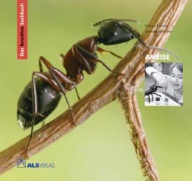 Cover von Das kreative Sachbuch 'Ameise'