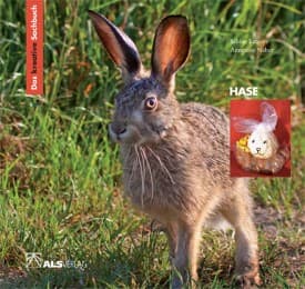 Cover von Das kreative Sachbuch 'Hase'