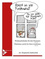Cover von Hörst Du die Posaunen?