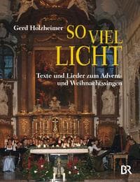 Cover von So viel Licht