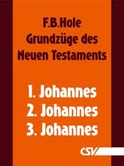 Cover von Grundzüge des Neuen Testaments - 1., 2. & 3. Johannes