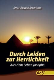 Cover von Durch Leiden zur Herrlichkeit