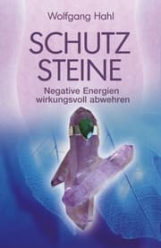 Cover von Schutzsteine
