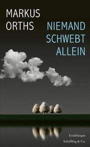 Cover von Niemand schwebt allein