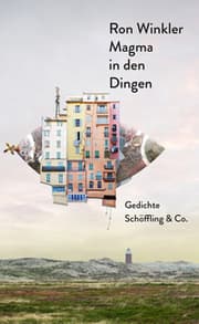 Cover von Magma in den Dingen