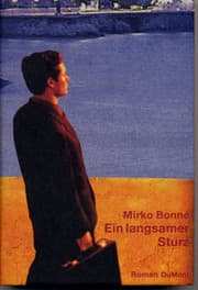 Cover von Ein langsamer Sturz