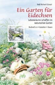 Cover von Ein Garten für Eidechsen