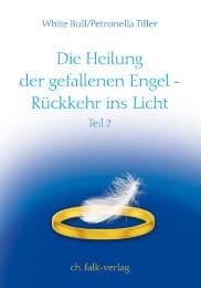 Cover von Die Heilung der gefallenen Engel - Rückkehr ins Licht 2