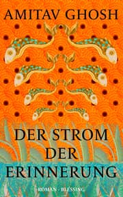 Cover von Der Strom der Erinnerung