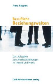 Cover von Berufliche Beziehungswelten