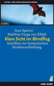 Cover von Klare Sicht im Blindflug
