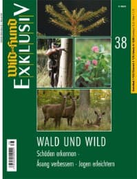 Cover von WILD UND HUND Exklusiv Nr. 38: Wald und Wild