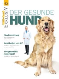 Cover von Der gesunde Hund