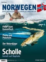 Cover von Norwegen-Magazin 15 + DVD