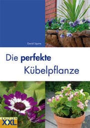 Cover von Die perfekte Kübelpflanze