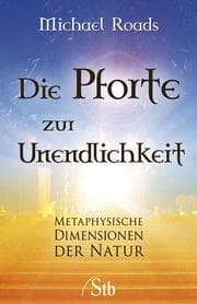 Cover von Die Pforte zur Unendlichkeit