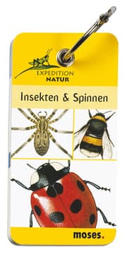 Cover von Insekten & Spinnen