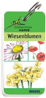 Cover von Wiesenblumen