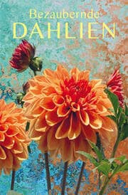 Cover von Bezaubernde Dahlien
