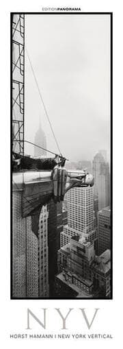 Cover von New York Vertical