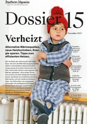 Cover von Verheizt