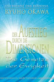 Cover von Der Aufstieg durch die Dimensionen