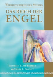 Cover von Das Reich der Engel