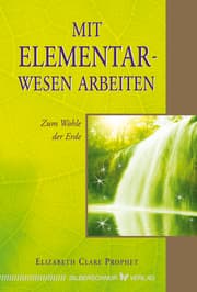 Cover von Mit Elementarwesen arbeiten