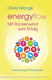 Cover von Energyflow - Mit Rückenwind zum Erfolg