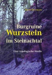 Cover von Burgruine Wurzstein im Steinachtal