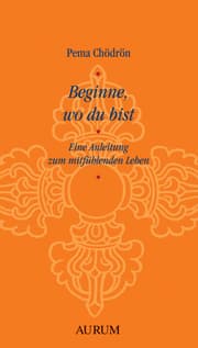 Cover von Beginne, wo du bist