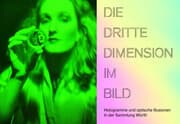 Cover von Die dritte Dimension im Bild