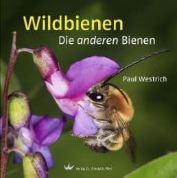 Cover von Wildbienen