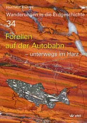 Cover von Forellen auf der Autobahn
