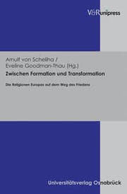 Cover von Zwischen Formation und Transformation